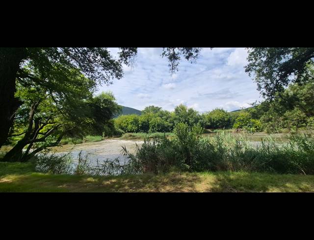 17.90HA FARM FOR SALE IN BRITS RURAL